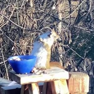 Meet your Posher, Lucas